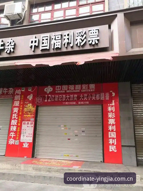 盈嘉体育彩票投注平台评测使用指南：3个实测技巧帮你避开新手坑