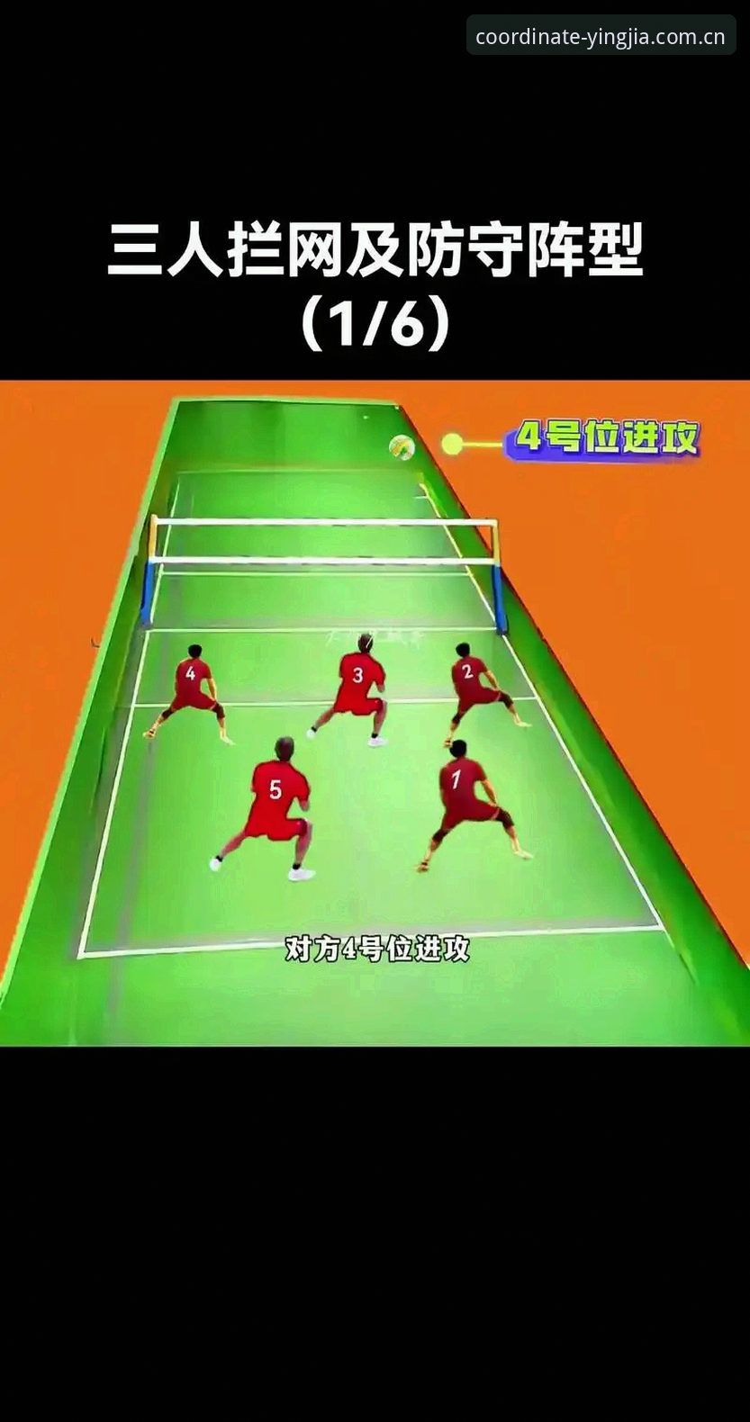 揭秘盈嘉体育 YJSports CN 数据对比：从直播覆盖到投注评测的底层逻辑